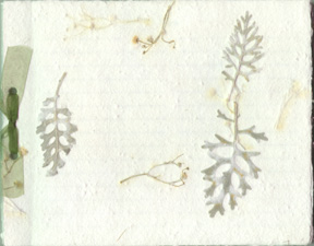 Handmade Guestbooks
