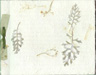 handmade paper book