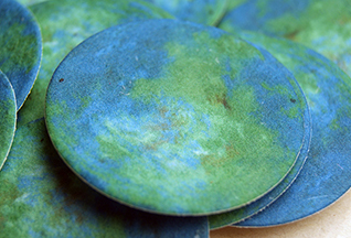 seed paper circle shapes Earth