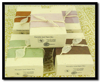 Lotka Seeded Gift Boxes