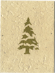 Recycled Earth Friendly Holiday Cards that grow!