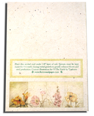 The back of each card