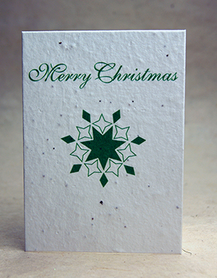 Seeded Merry Christmas Card