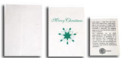 Seeded Merry Christmas Holiday cards and envelopes