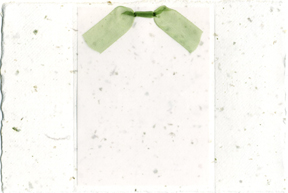chard paper