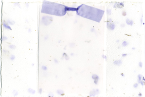 larkspur paper