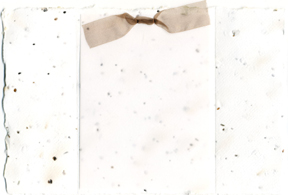 wildflower seed paper