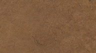 earth spice lotka paper