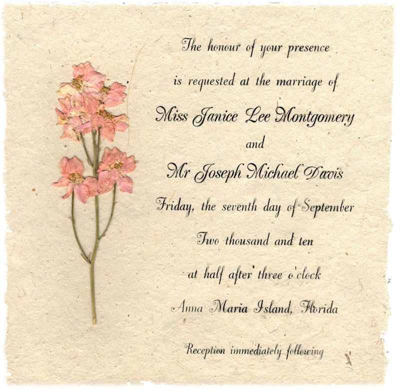 Lotka Seeded Invitation with Long Stem Pink Larkspur