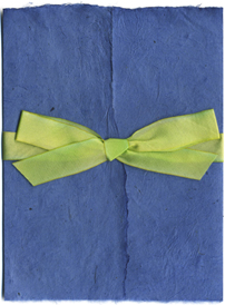 6x9 Bifold Wrap With Hanah Silk Fresh Celery