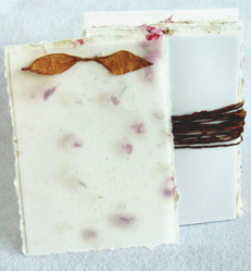 Seed Paper Do It Yourself Kit Invitations