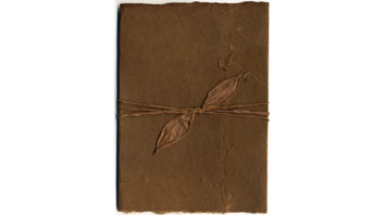 lotka seeded invitation