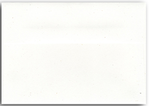 Recycled Reply Card Envelope