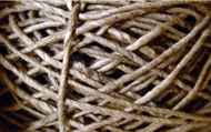 Sequoia eco-twist