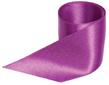 Midori Violet