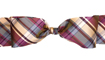 Dupioni Silk Ribbon