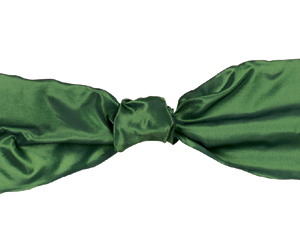 Midori Wired Luxe Ribbon
