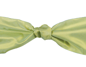 Midori Wired Luxe Ribbon