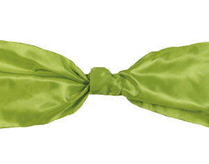 Midori Wired Luxe Ribbon