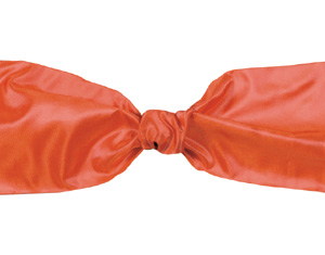 Midori Wired Luxe Ribbon