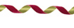 Click to order Rose Velvet/Lime Satin