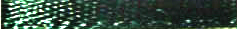 Forest Green Offray Ribbon 587