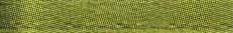 Kiwi Offray Ribbon 548