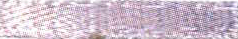 Silver Offray Ribbon 012
