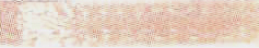 Tan Offray Ribbon