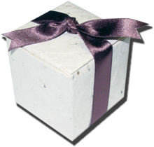 2" square favor box of seed paper