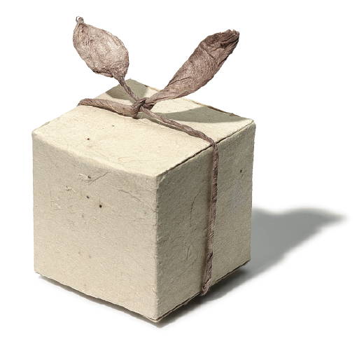 F-SeedBox2