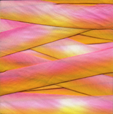 Earth Silk Dyed Ribbon pink yellow 015