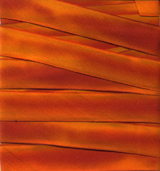 Earth Silk Dyed Ribbon 019 orange red