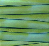 Earth Silk Dyed Ribbon 048 blue green