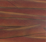 Earth Silk Dyed Ribbon - rust 066