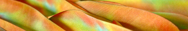 blended silk ribbon colors