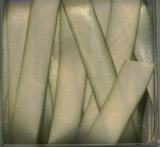 earth silk ribbon