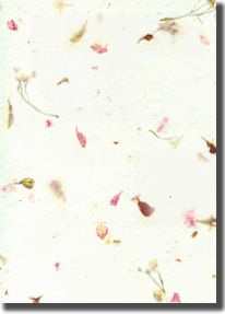 Pink Larkspur, Marigold, Baby's Breath
