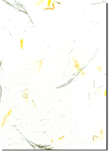 Tamarix custom handmade paper