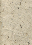 Banana Leaf Paper