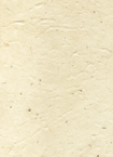 Lotka Seed Paper