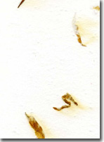 Custom Handmade Paper Section