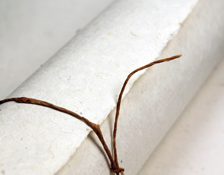 seed paper