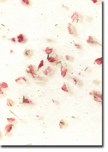 pink larkspur and lotka handmade paper