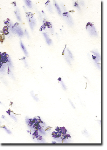 Purple Larkspur handmade paper