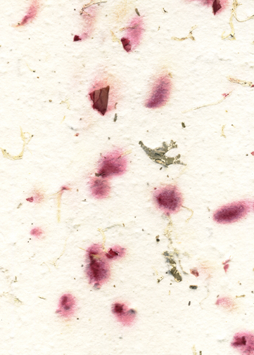 oakmoss and carnation petal handmade paper