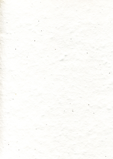 Mint seed handmade paper