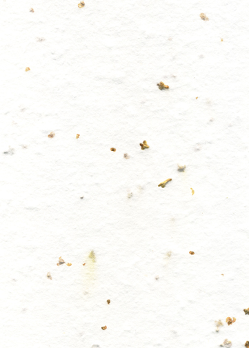 Tree seed handmade paper