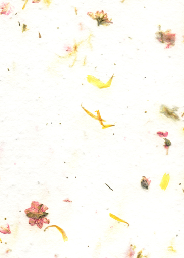 Pink Larkspur and marigold petal handmade paper