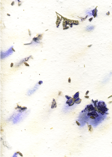 Larkspur, lavender, and misty handmade paper